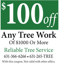 Reliable Tree Service $100 Off Coupon