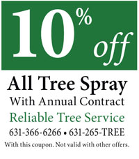 Reliable Tree Service 10% off coupon