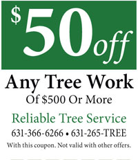 Reliable Tree Service 50 off Coupon