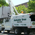 Reliable Tree Service Bucket Truck
